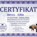 Powiększ obraz: certificate 23