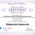 Powiększ obraz: certificate 10