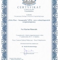 Powiększ obraz: certificate 4
