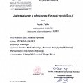 Powiększ obraz: certificate 4