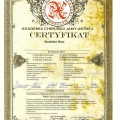 Powiększ obraz: certificate 46