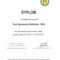 Powiększ obraz: certificate 2
