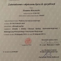 Powiększ obraz: certificate 3