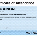 Powiększ obraz: certificate 5