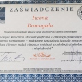 Powiększ obraz: certificate 16