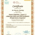Powiększ obraz: certificate 19