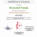 Powiększ obraz: certificate 11