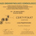 Powiększ obraz: certificate 8