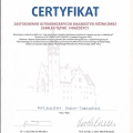 Powiększ obraz: certificate 5