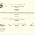 Powiększ obraz: certificate 20
