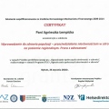 Powiększ obraz: certificate 1