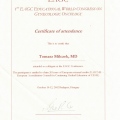 Powiększ obraz: certificate 27