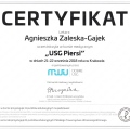 Powiększ obraz: certificate 2