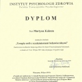 Powiększ obraz: certificate 4