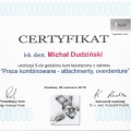 Powiększ obraz: certificate 8