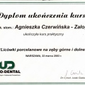 Powiększ obraz: certificate 29