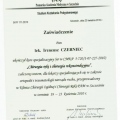 Powiększ obraz: certificate 28