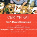Powiększ obraz: certificate 3