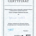Powiększ obraz: certificate 5