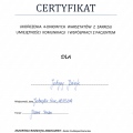 Powiększ obraz: certificate 2