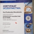 Powiększ obraz: certificate 24