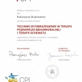 Powiększ obraz: certificate 3
