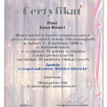 Powiększ obraz: certificate 43