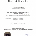 Powiększ obraz: certificate 9