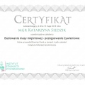Powiększ obraz: certificate 41