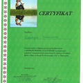 Powiększ obraz: certificate 29