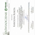 Powiększ obraz: certificate 13