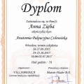 Powiększ obraz: certificate 14