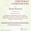 Powiększ obraz: certificate 19