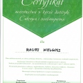 Powiększ obraz: certificate 5