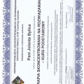 Powiększ obraz: certificate 3