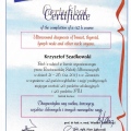 Powiększ obraz: certificate 1