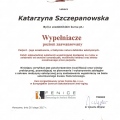 Powiększ obraz: certificate 8