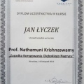 Powiększ obraz: certificate 5