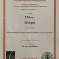 Powiększ obraz: certificate 4
