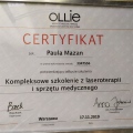 Powiększ obraz: certificate 1