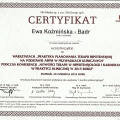 Powiększ obraz: certificate 6