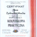 Powiększ obraz: certificate 2