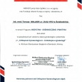 Powiększ obraz: certificate 2