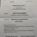 Powiększ obraz: certificate 22