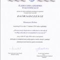 Powiększ obraz: certificate 6