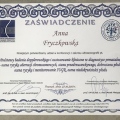 Powiększ obraz: certificate 11