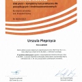 Powiększ obraz: certificate 36