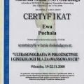 Powiększ obraz: certificate 6
