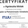 Powiększ obraz: certificate 7