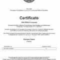 Powiększ obraz: certificate 12